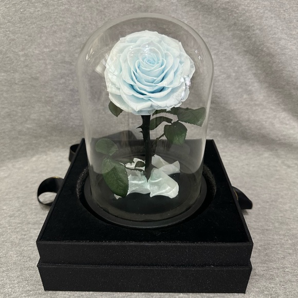 Rose in Glass Dome - Picture 2 of 5